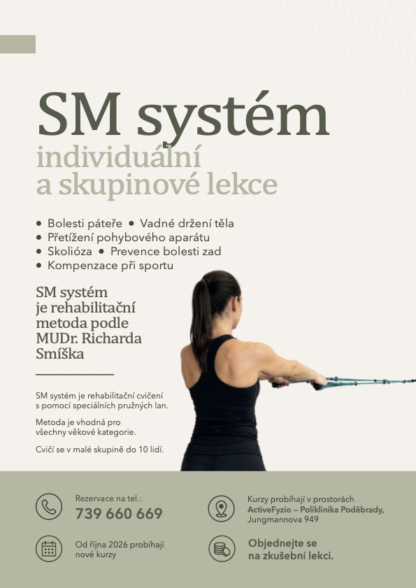 SM systém